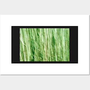 Nature in abstract, green grass in motion blur Posters and Art